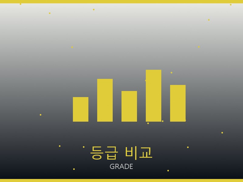 필립플레인 레플리카 사이트 등급 기준 비교