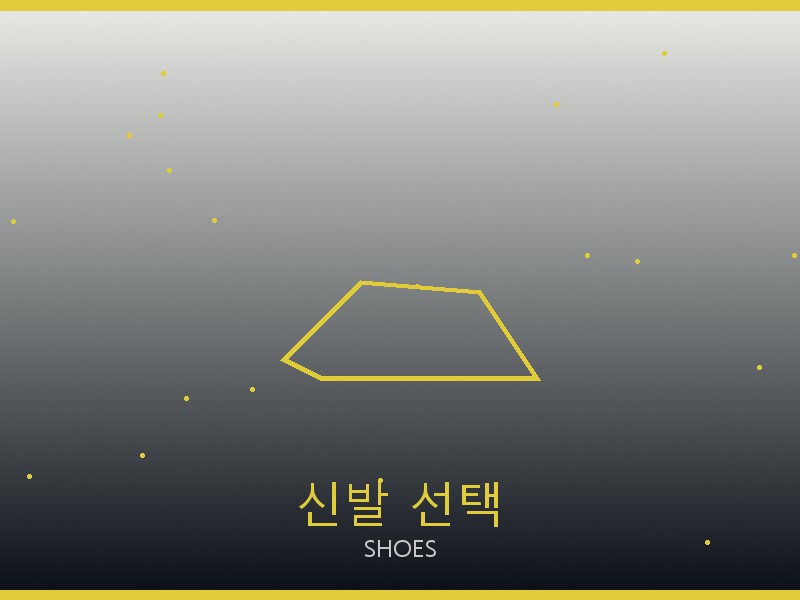 필립플레인 레플리카 사이트 신발 선택 가이드